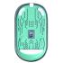 Meetion BTM005 Dual Mode 2.4G Bluetooth & Wireless Mouse -Green