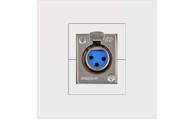 1 Port Female XLR Connector Wall Plate Socket Keystone Faceplate