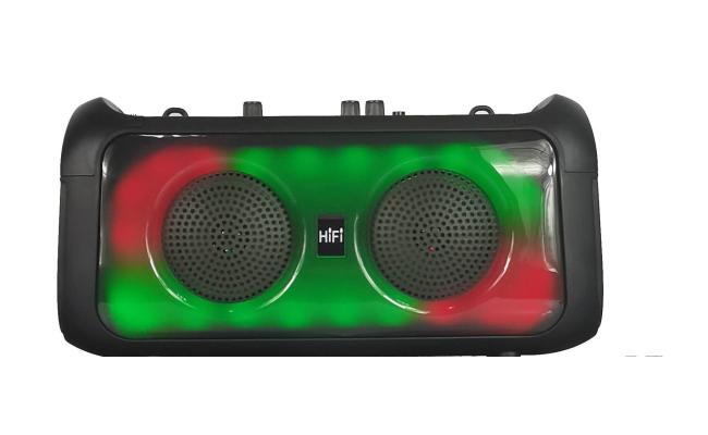 WRX-4207A  Dual 4 inch RGB LED light Portable HiFi Party Speaker
